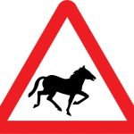 Wild horses or ponies likely to be in road ahead