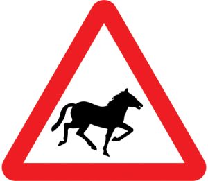Wild horses or ponies likely to be in road ahead