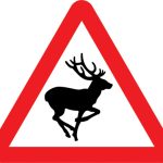 Wild animals likely to be in road ahead