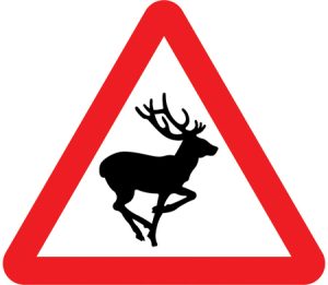 Wild animals likely to be in road ahead