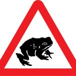 Migratory toad crossing ahead