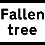 Fallen tree ahead