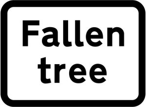 Fallen tree ahead